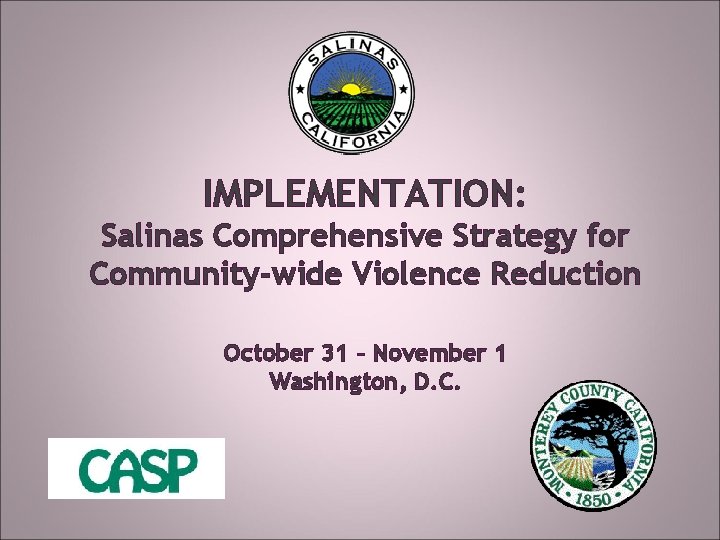 IMPLEMENTATION: Salinas Comprehensive Strategy for Community-wide Violence Reduction October 31 – November 1 Washington,