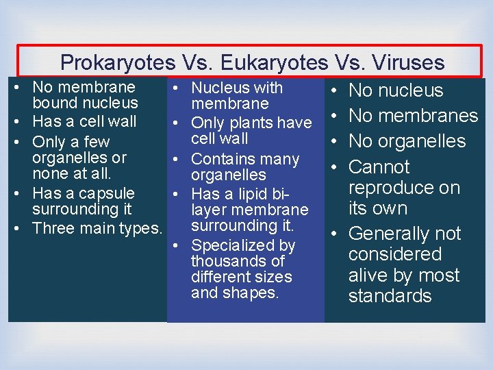 Prokaryotes Vs. Eukaryotes Vs. Viruses • No membrane bound nucleus • Has a cell