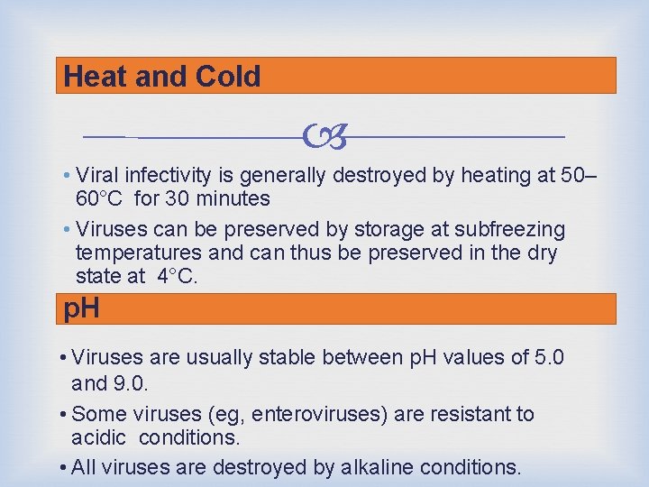 Heat and Cold • Viral infectivity is generally destroyed by heating at 50– 60°C