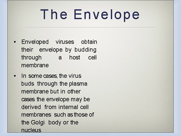 T h e Envelope • Enveloped viruses obtain their envelope by budding through a