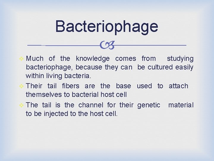 Bacteriophage Much of the knowledge comes from studying bacteriophage, because they can be cultured