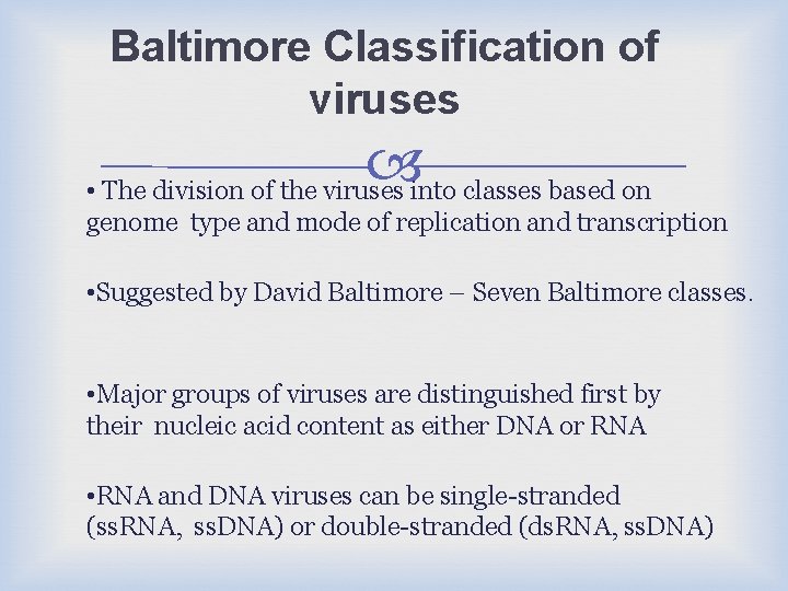 Baltimore Classification of viruses • The division of the viruses into classes based on