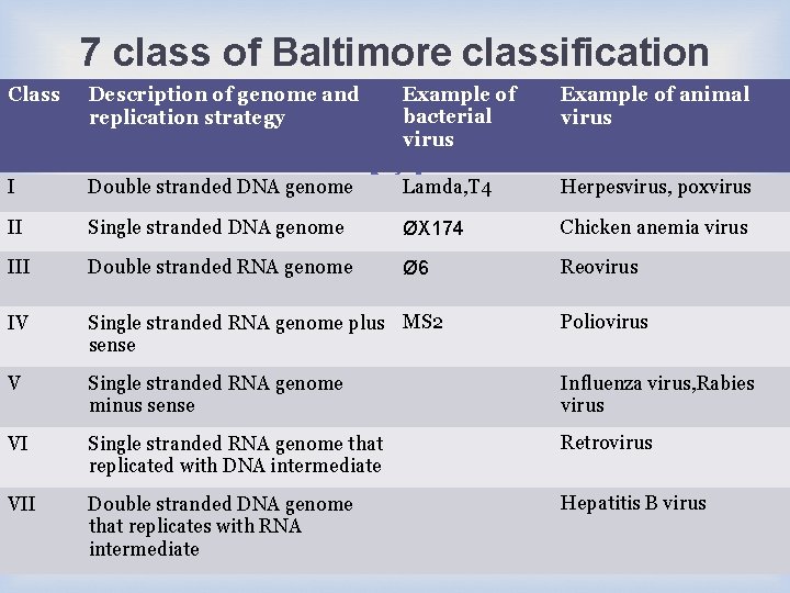 7 class of Baltimore classification Class Description of genome and replication strategy I Double