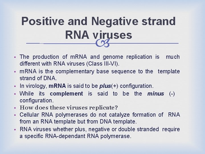 Positive and Negative strand RNA viruses • The production of m. RNA and genome
