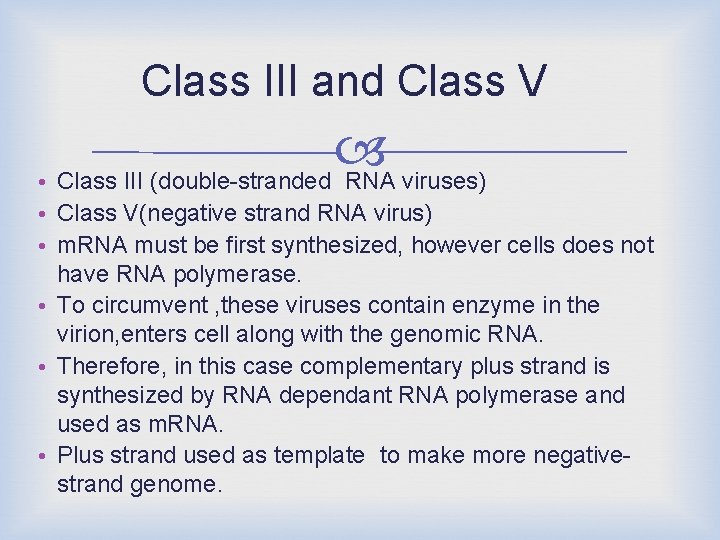 Class III and Class V • Class III (double-stranded RNA viruses) • Class V(negative