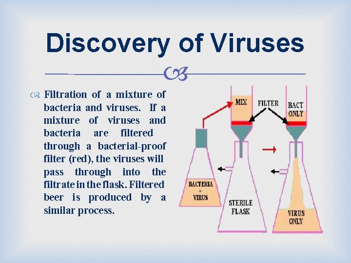 Discovery of Viruses Filtration of a mixture of bacteria and viruses. If a mixture