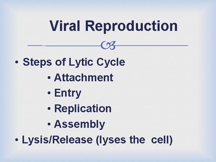 Viral Reproduction • Steps of Lytic Cycle • Attachment • Entry • Replication •