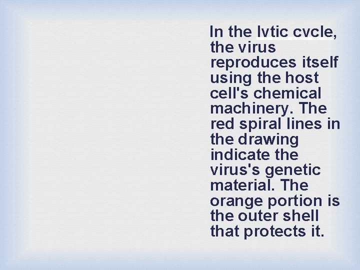 In the lytic cycle, the virus reproduces itself using the host cell's chemical machinery.