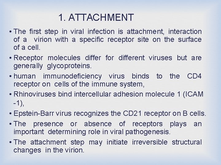 1. ATTACHMENT • The first step in viral infection is attachment, interaction of a