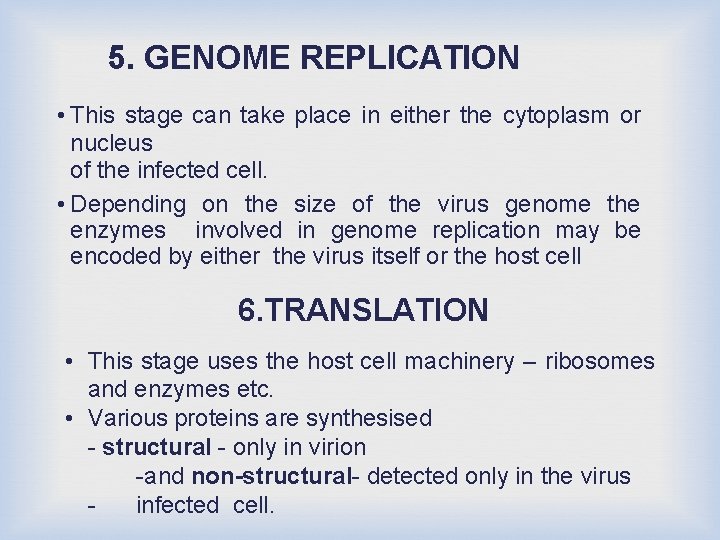 5. GENOME REPLICATION • This stage can take place in either the cytoplasm or