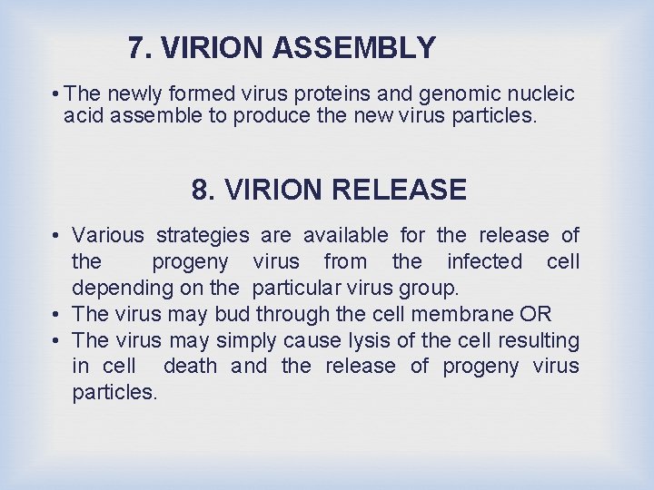 7. VIRION ASSEMBLY • The newly formed virus proteins and genomic nucleic acid assemble