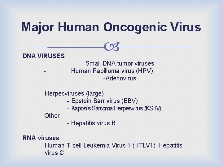 Major Human Oncogenic Virus DNA VIRUSES - Small DNA tumor viruses Human Papilloma virus