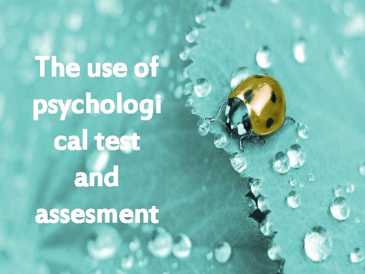 The use of psychologi cal test and assesment 