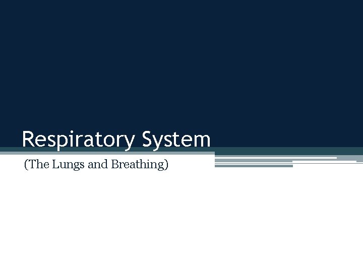 Respiratory System (The Lungs and Breathing) 