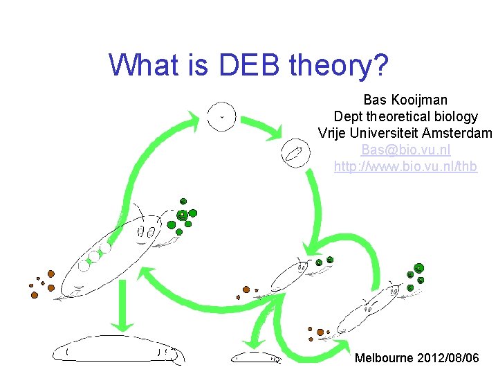 What is DEB theory? Bas Kooijman Dept theoretical biology Vrije Universiteit Amsterdam Bas@bio. vu.