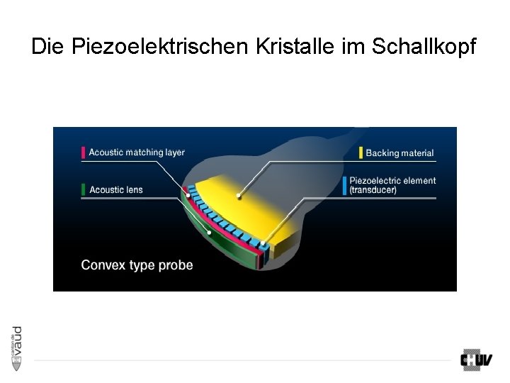 Die Piezoelektrischen Kristalle im Schallkopf Die Piezoelektrischen Kristalle im Schallkopf