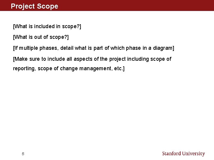 Project Scope [What is included in scope? ] [What is out of scope? ]
