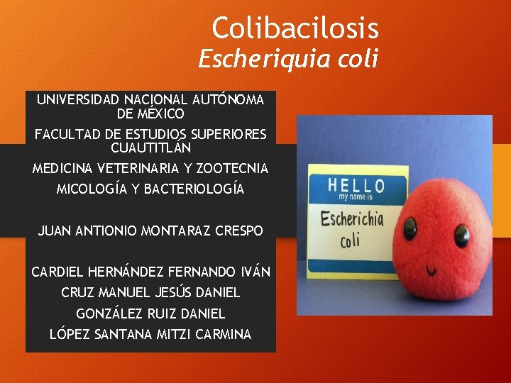 Colibacilosis Escheriquia coli UNIVERSIDAD NACIONAL AUTÓNOMA DE MÉXICO FACULTAD DE ESTUDIOS SUPERIORES CUAUTITLÁN MEDICINA