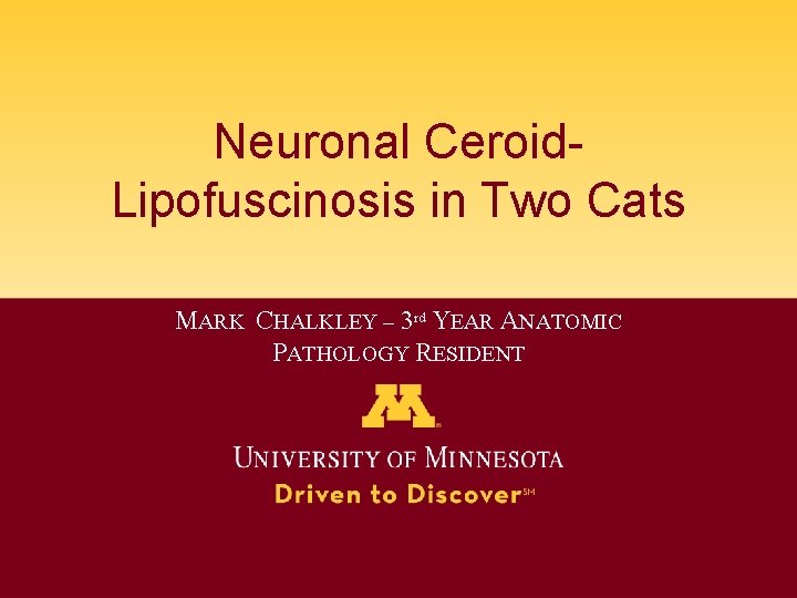Neuronal Ceroid. Lipofuscinosis in Two Cats MARK CHALKLEY – 3 rd YEAR ANATOMIC PATHOLOGY