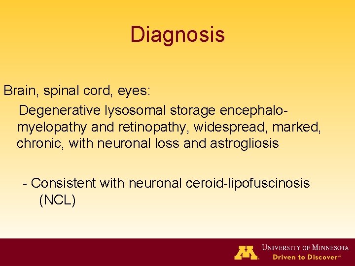 Diagnosis Brain, spinal cord, eyes: Degenerative lysosomal storage encephalomyelopathy and retinopathy, widespread, marked, chronic,