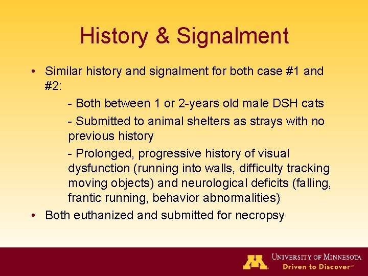 History & Signalment • Similar history and signalment for both case #1 and #2: