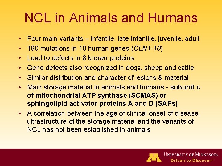 NCL in Animals and Humans • • • Four main variants – infantile, late-infantile,