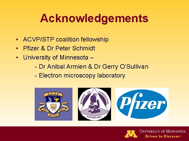 Acknowledgements • ACVP/STP coalition fellowship • Pfizer & Dr Peter Schmidt • University of