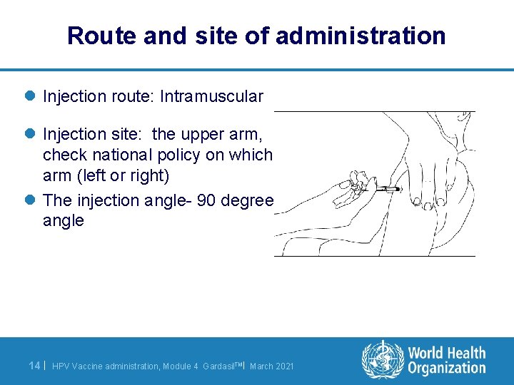 Route and site of administration l Injection route: Intramuscular l Injection site: the upper