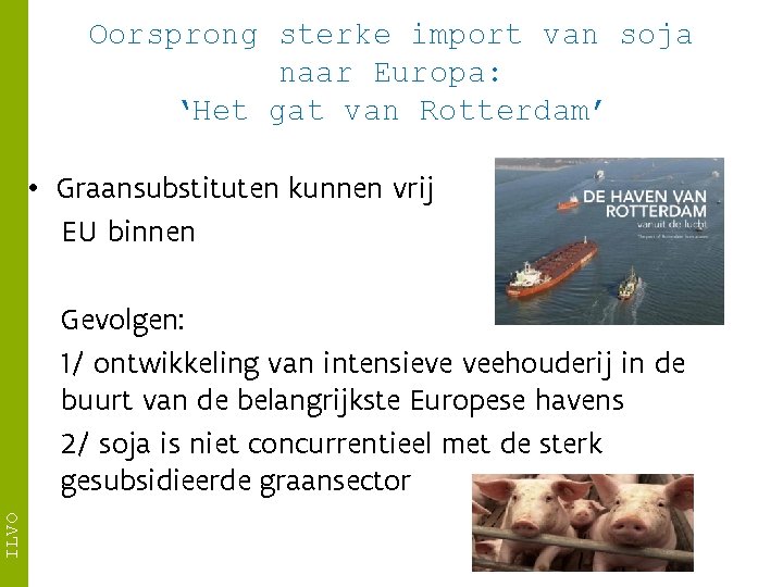 Oorsprong sterke import van soja naar Europa: ‘Het gat van Rotterdam’ • Graansubstituten kunnen
