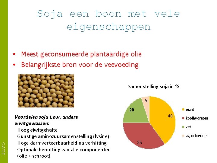 Soja een boon met vele eigenschappen • Meest geconsumeerde plantaardige olie • Belangrijkste bron