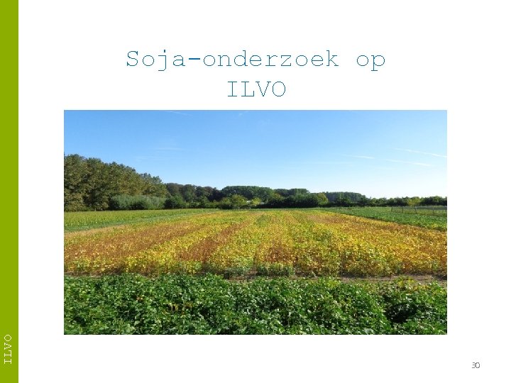 ILVO Soja-onderzoek op ILVO 30 