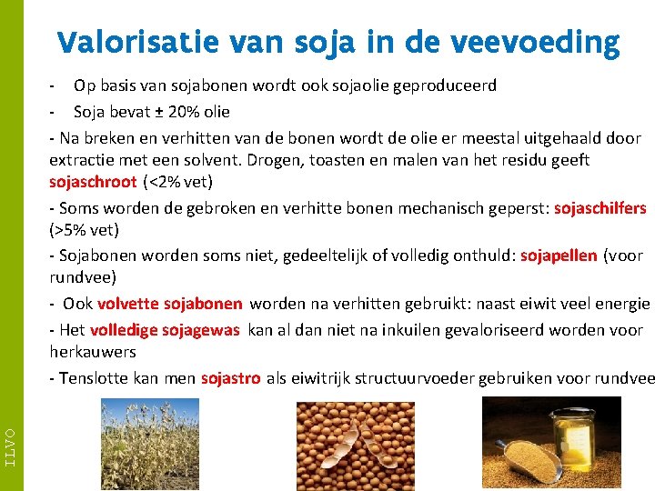 Valorisatie van soja in de veevoeding ILVO - Op basis van sojabonen wordt ook