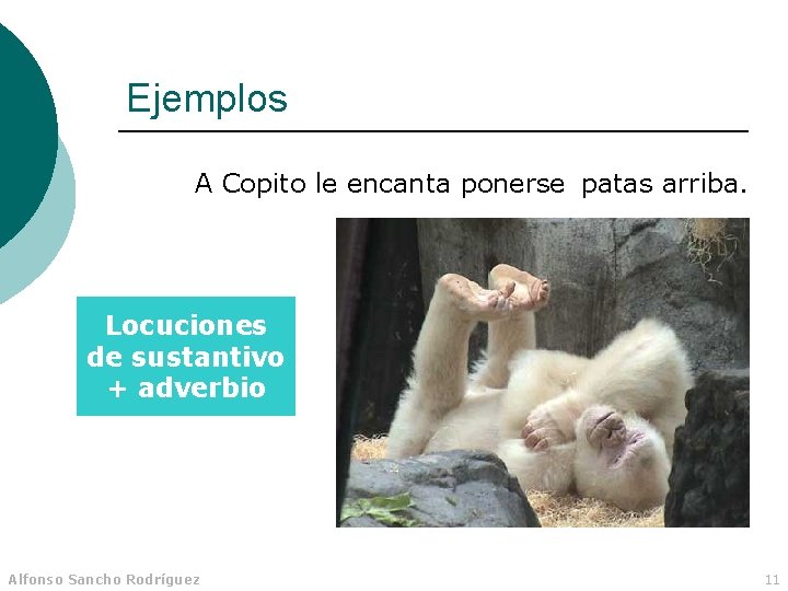 Ejemplos A Copito le encanta ponerse patas arriba. Locuciones de sustantivo + adverbio Alfonso