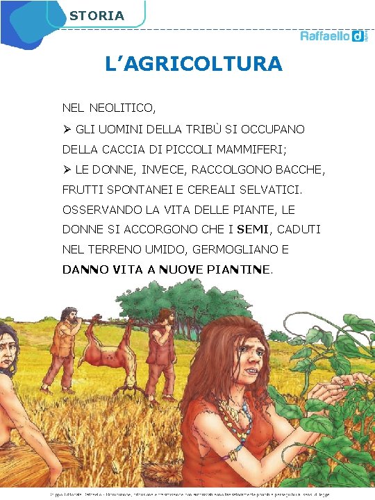 STORIA L’AGRICOLTURA NEL NEOLITICO, Ø GLI UOMINI DELLA TRIBÙ SI OCCUPANO DELLA CACCIA DI