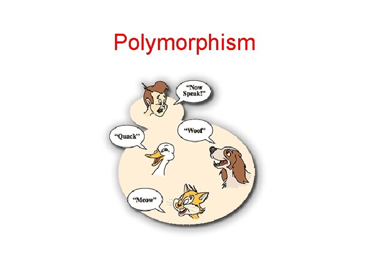 Polymorphism 