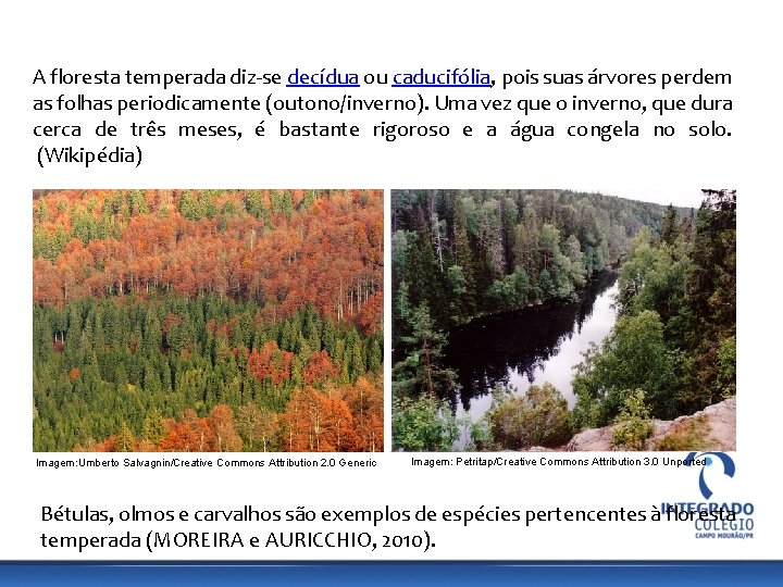 GEOGRAFIA, 9º Ano do Ensino Fundamental Os Aspectos Naturais do Continente Europeu: Relevo, Clima