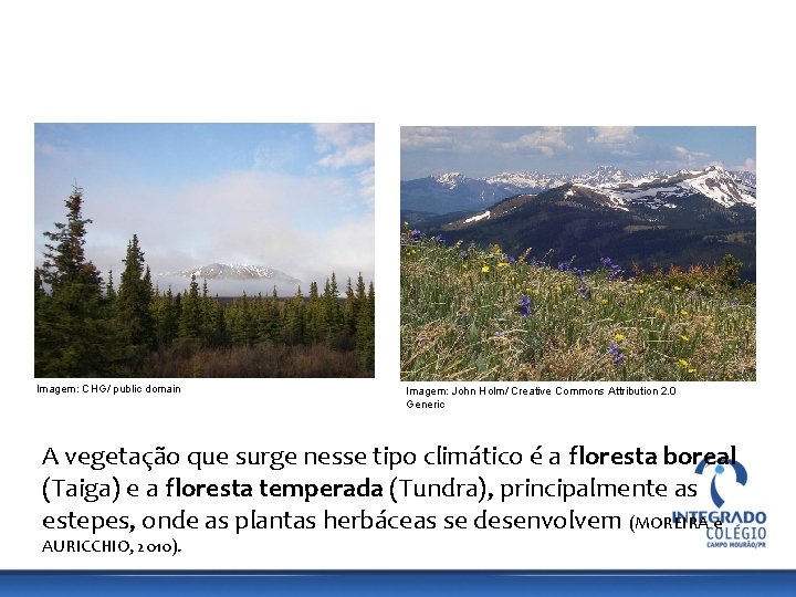 GEOGRAFIA, 9º Ano do Ensino Fundamental Os Aspectos Naturais do Continente Europeu: Relevo, Clima