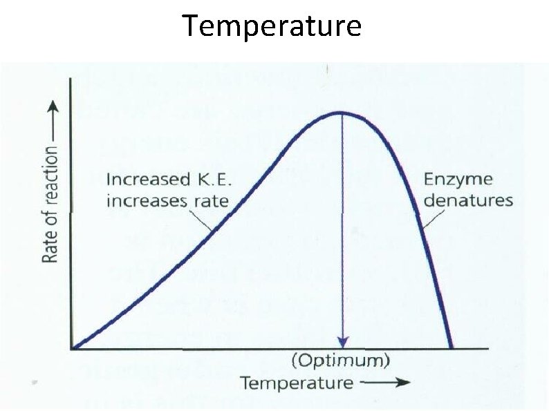 Temperature 