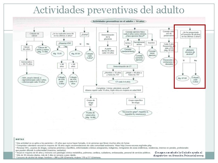 Actividades preventivas del adulto (Imagen sacada de la Guía de ayuda al diagnóstico en Actividades preventivas del adulto (Imagen sacada de la Guía de ayuda al diagnóstico en