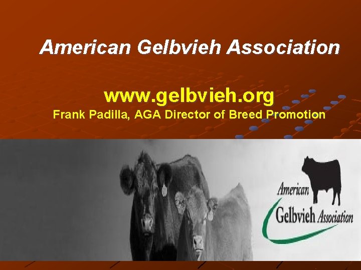 American Gelbvieh Association www. gelbvieh. org Frank Padilla, AGA Director of Breed Promotion 