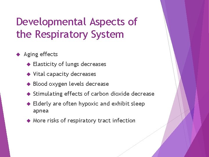 Developmental Aspects of the Respiratory System Aging effects Elasticity of lungs decreases Vital capacity