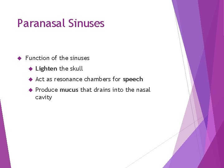 Paranasal Sinuses Function of the sinuses Lighten the skull Act as resonance chambers for