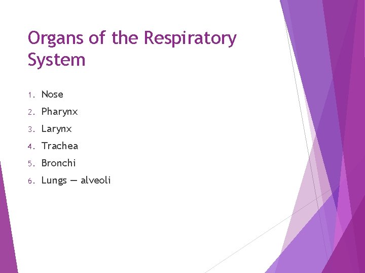 Organs of the Respiratory System 1. Nose 2. Pharynx 3. Larynx 4. Trachea 5.