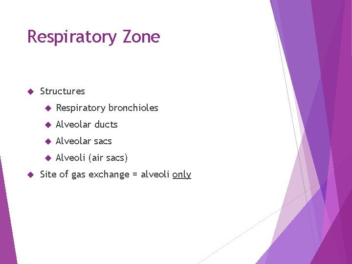 Respiratory Zone Structures Respiratory bronchioles Alveolar ducts Alveolar sacs Alveoli (air sacs) Site of