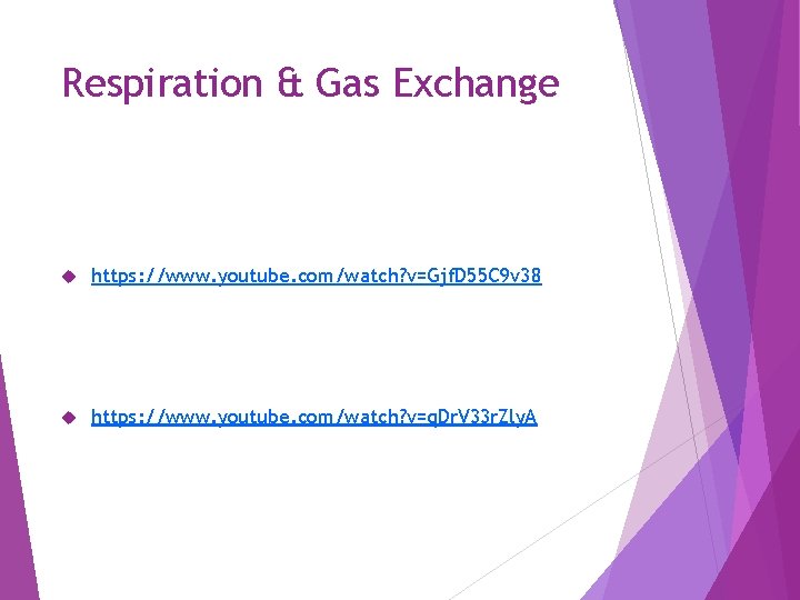 Respiration & Gas Exchange https: //www. youtube. com/watch? v=Gjf. D 55 C 9 v