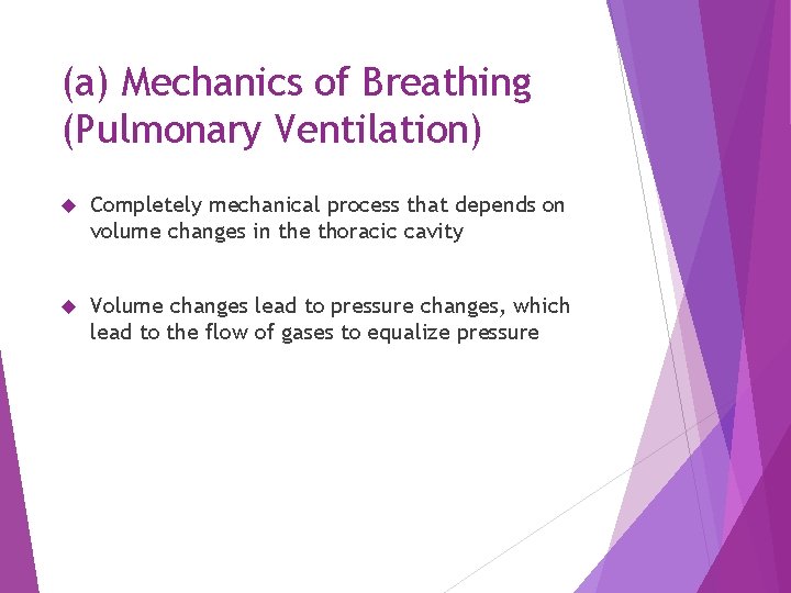 (a) Mechanics of Breathing (Pulmonary Ventilation) Completely mechanical process that depends on volume changes