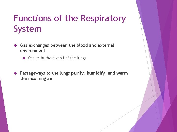 Functions of the Respiratory System Gas exchanges between the blood and external environment Occurs