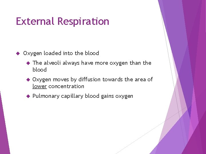 External Respiration Oxygen loaded into the blood The alveoli always have more oxygen than