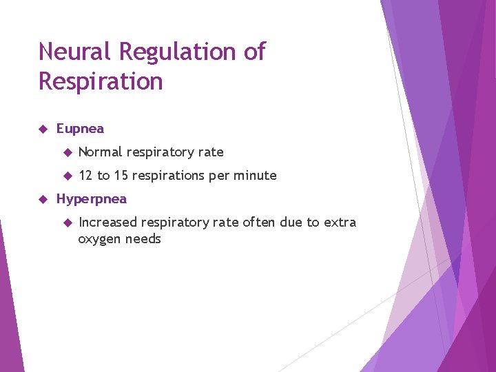 Neural Regulation of Respiration Eupnea Normal respiratory rate 12 to 15 respirations per minute