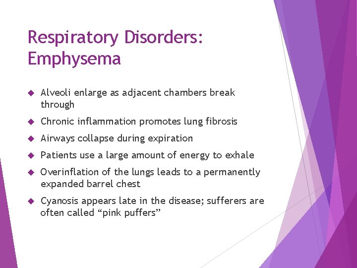 Respiratory Disorders: Emphysema Alveoli enlarge as adjacent chambers break through Chronic inflammation promotes lung